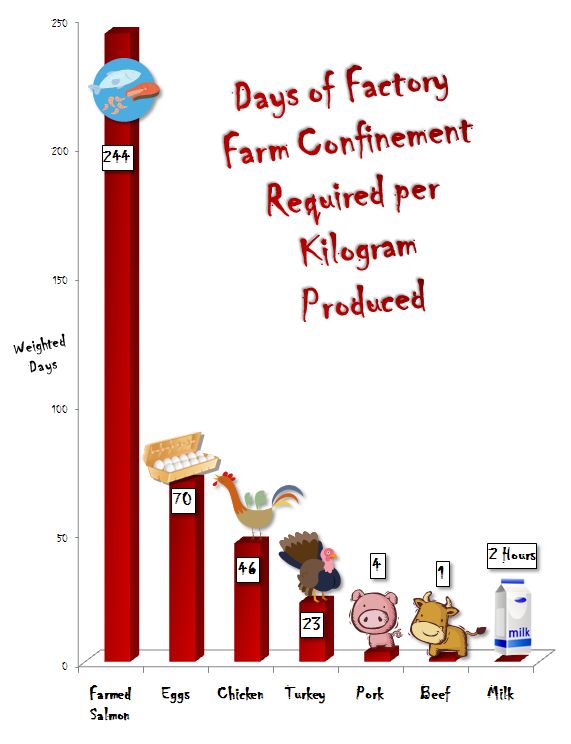 How Much Direct Suffering Is Caused by Various Animal Foods?